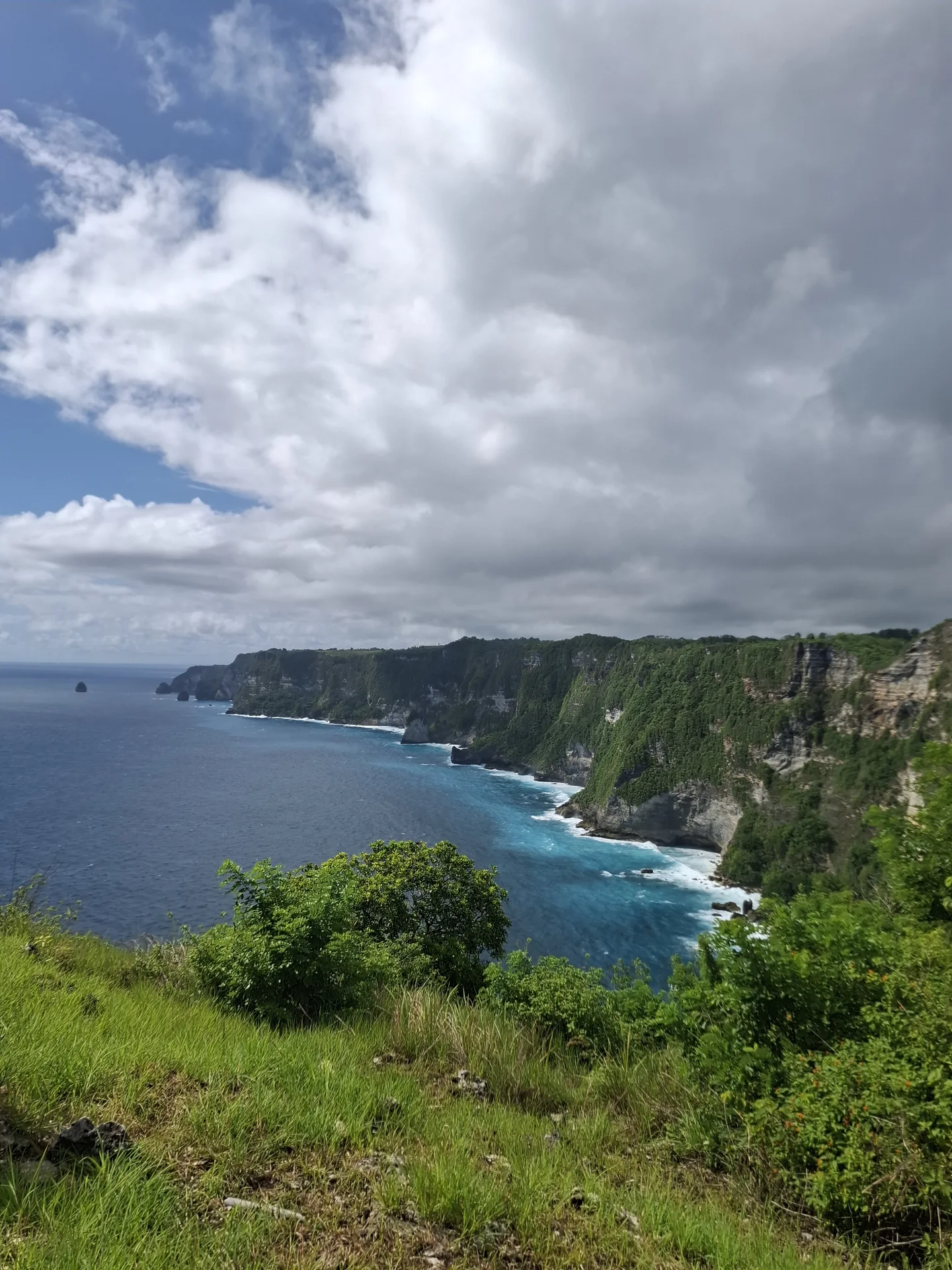 A green headland dropping into deep blue water
