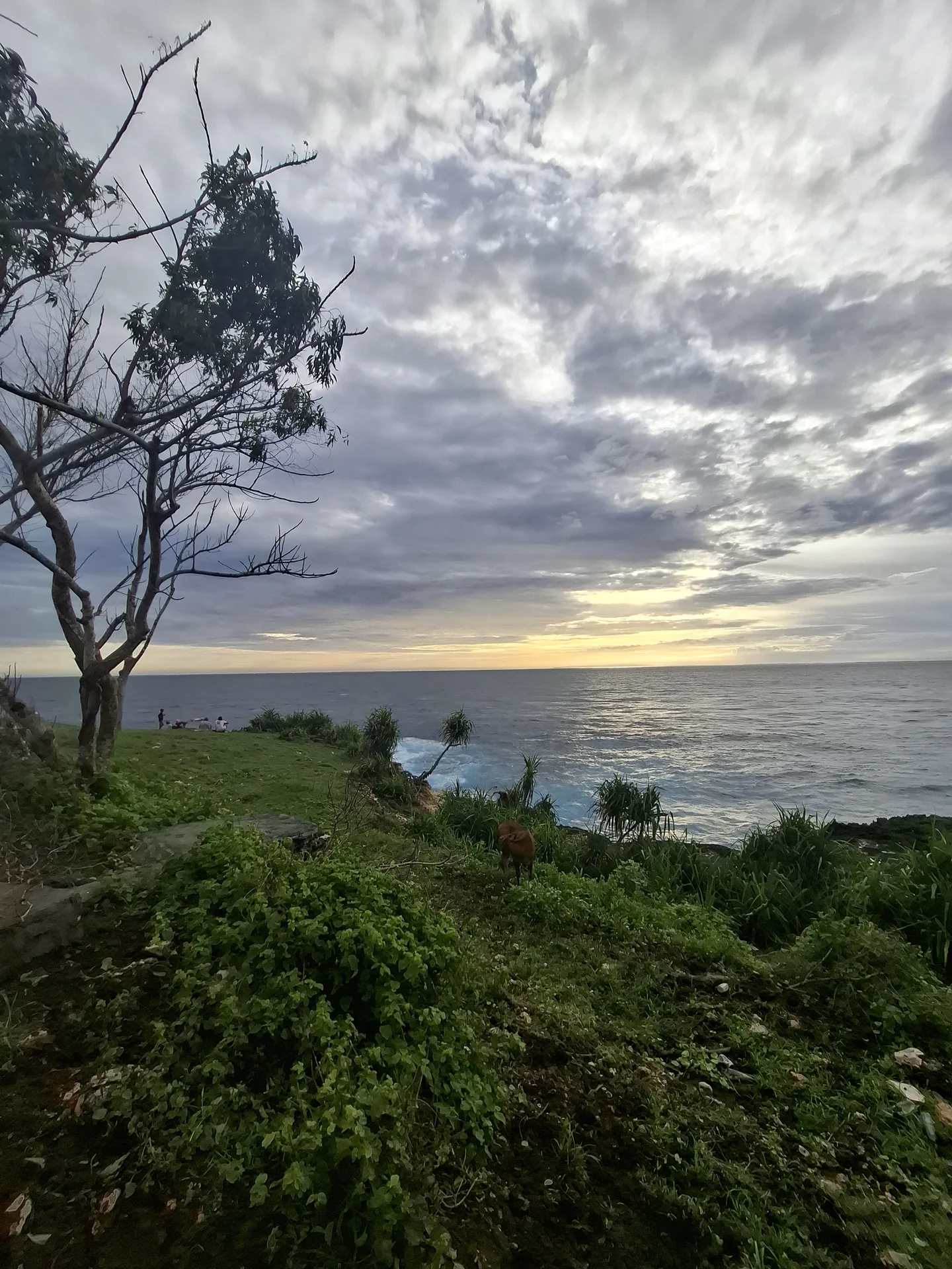 Evening light over the sea from a coastal viewpoint