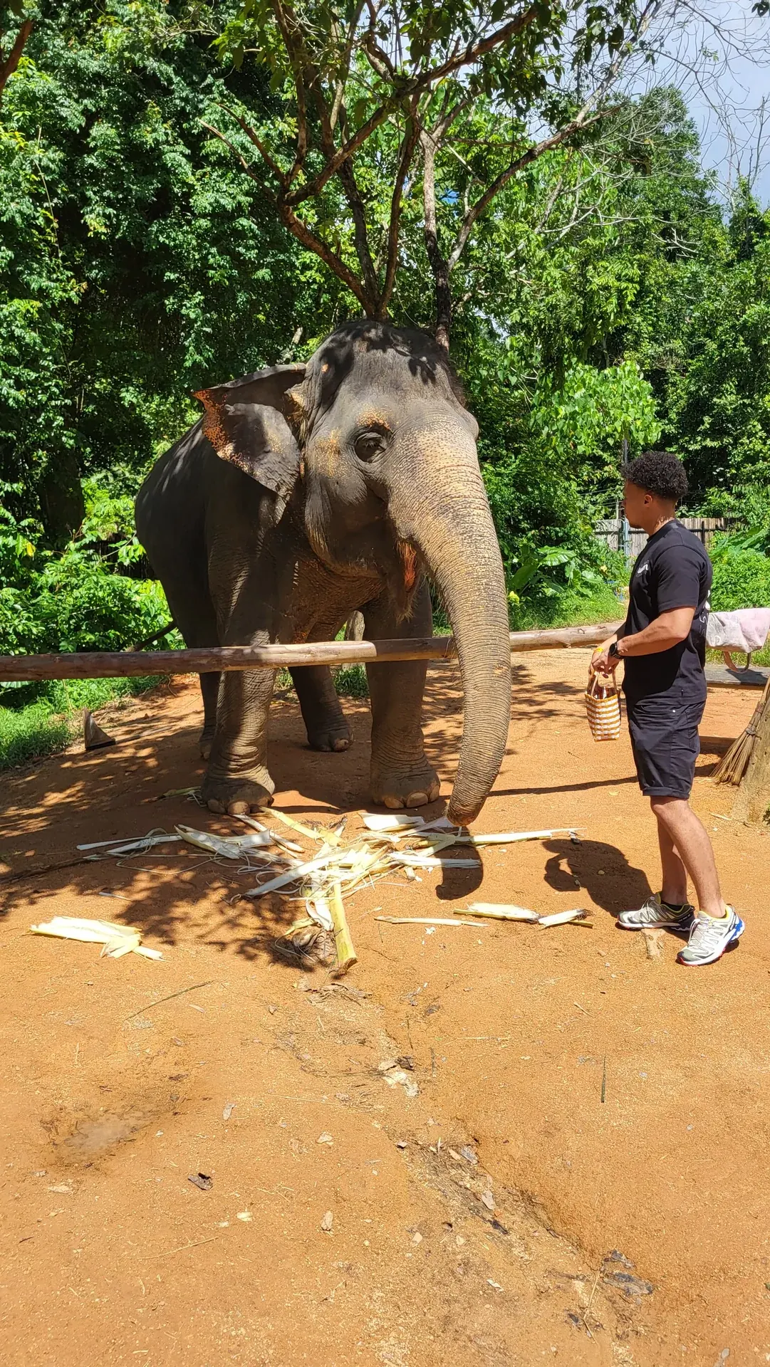 Dainyel standing near an elephant in Thailand