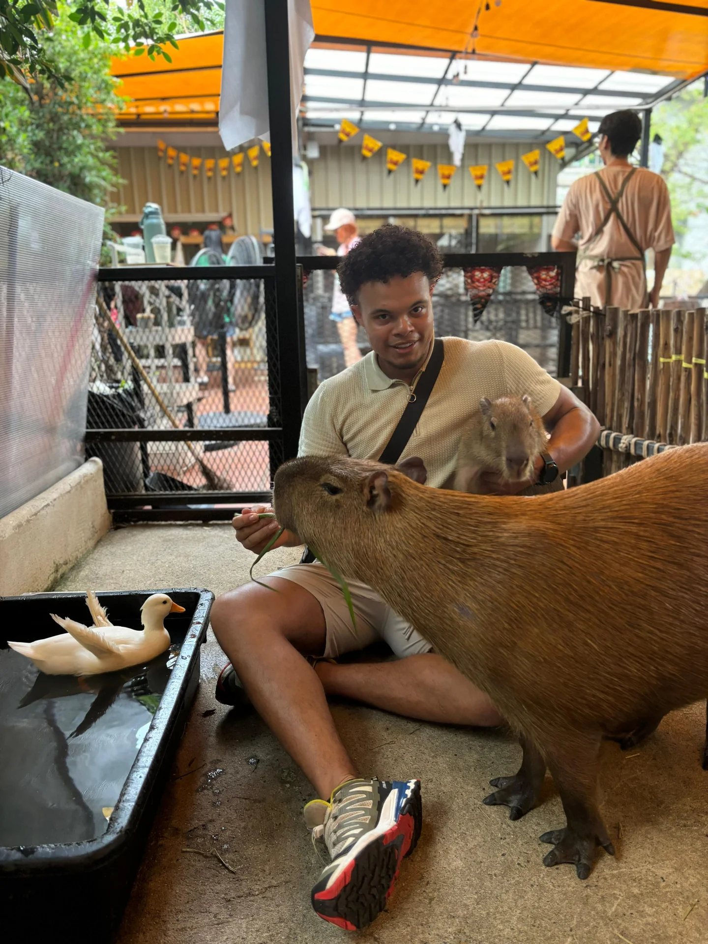Dainyel meeting capybaras, with a duck nearby